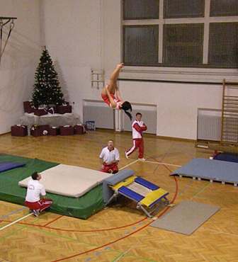 Gimnastika 2008