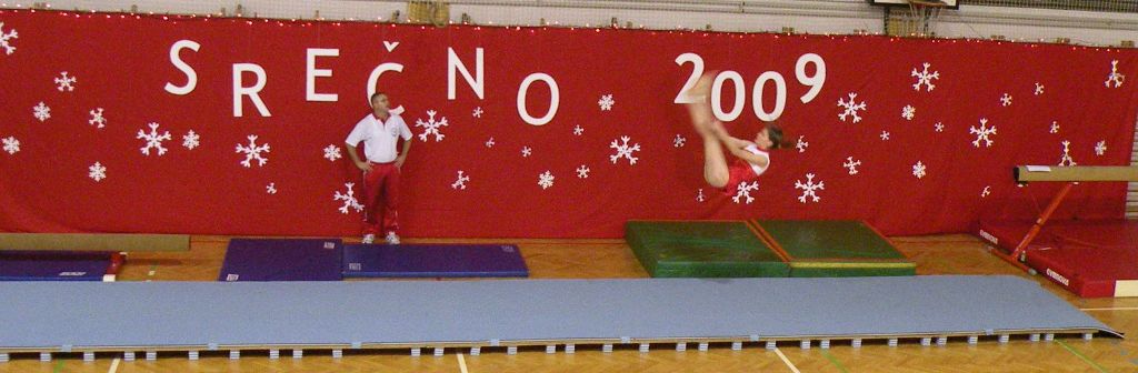 Gimnastika 2008