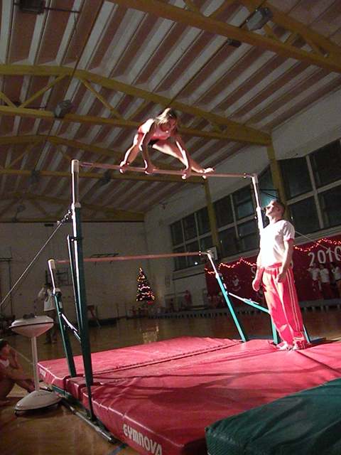 gimnastika