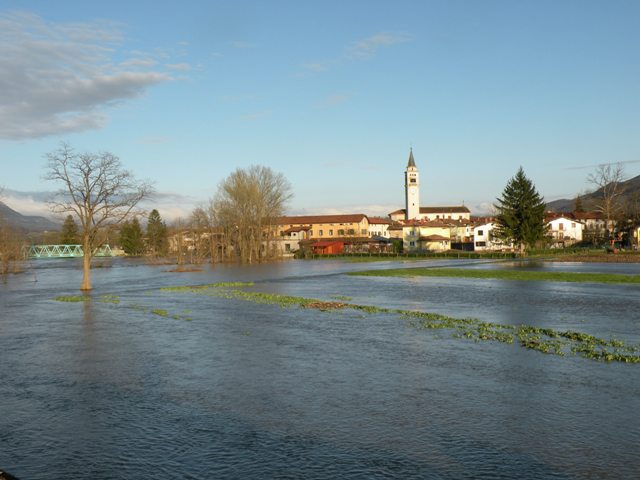 poplave